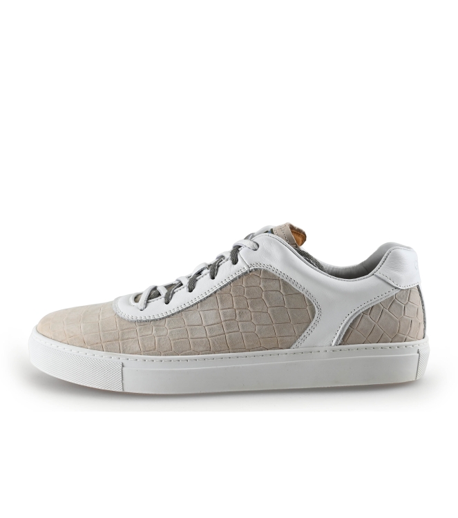Greve Sneakers