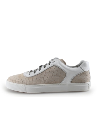 Greve Sneakers