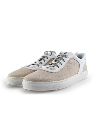 Greve Sneakers