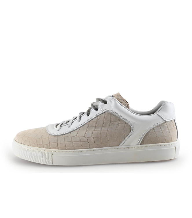 Greve Sneakers