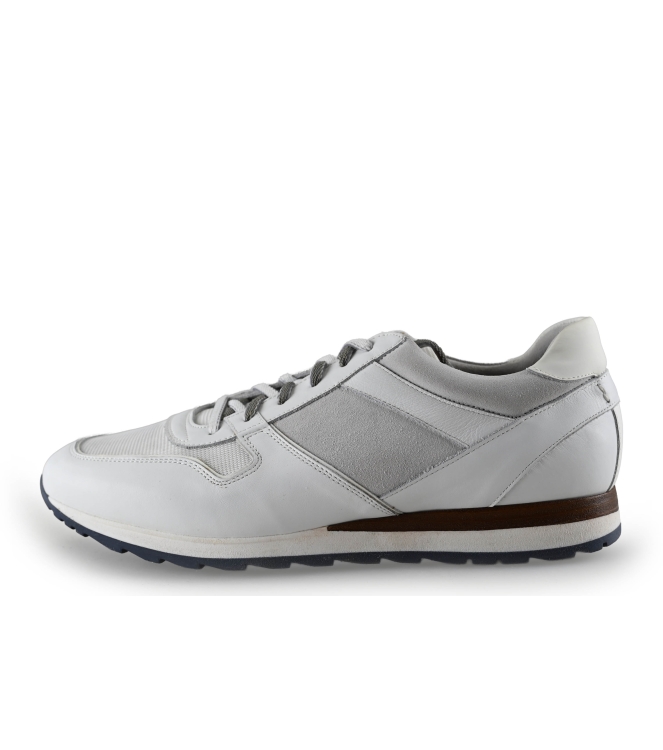 Greve Sneakers