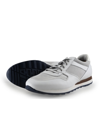 Greve Sneakers