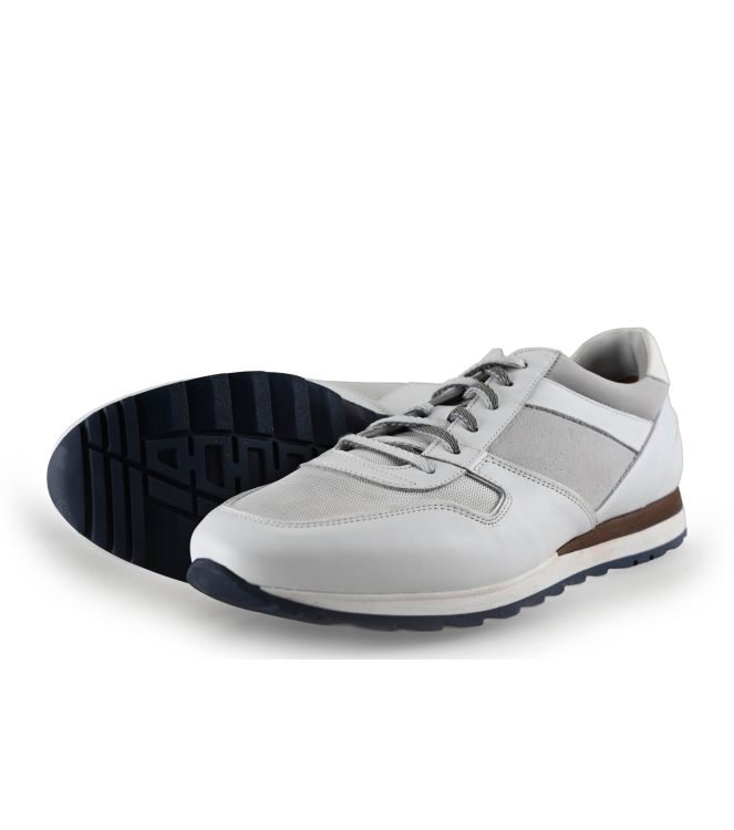 Greve Sneakers