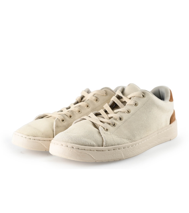 Toms Sneakers