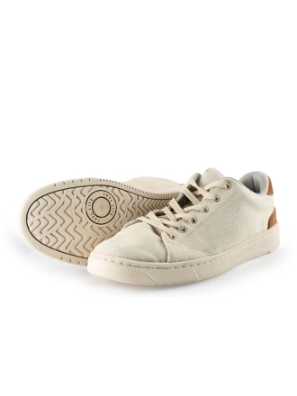 Toms Sneakers
