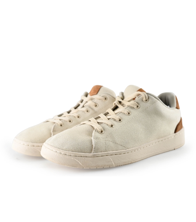 Toms Sneakers