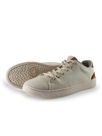 Toms Sneakers