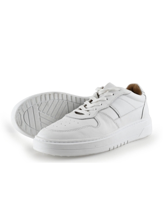 Nelson Sneakers