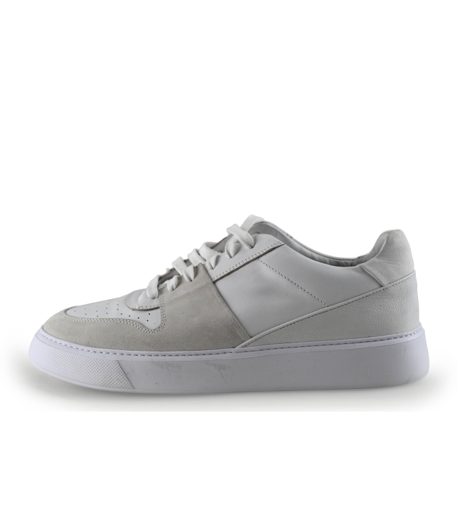 Sacha Sneakers