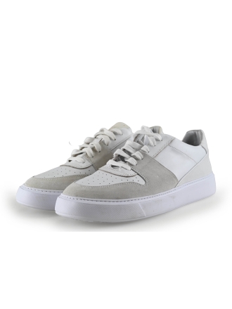 Sacha Sneakers
