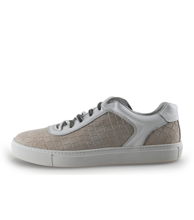 Greve Sneakers