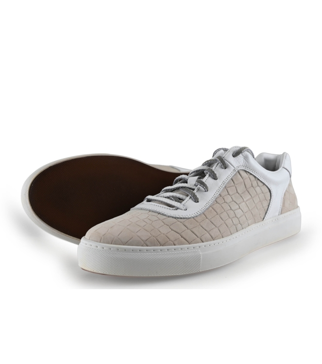 Greve Sneakers