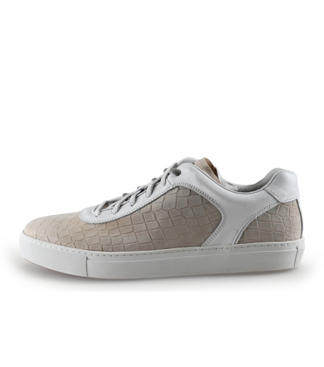 Greve Sneakers