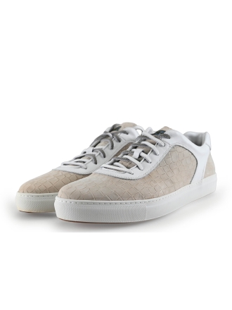Greve Sneakers