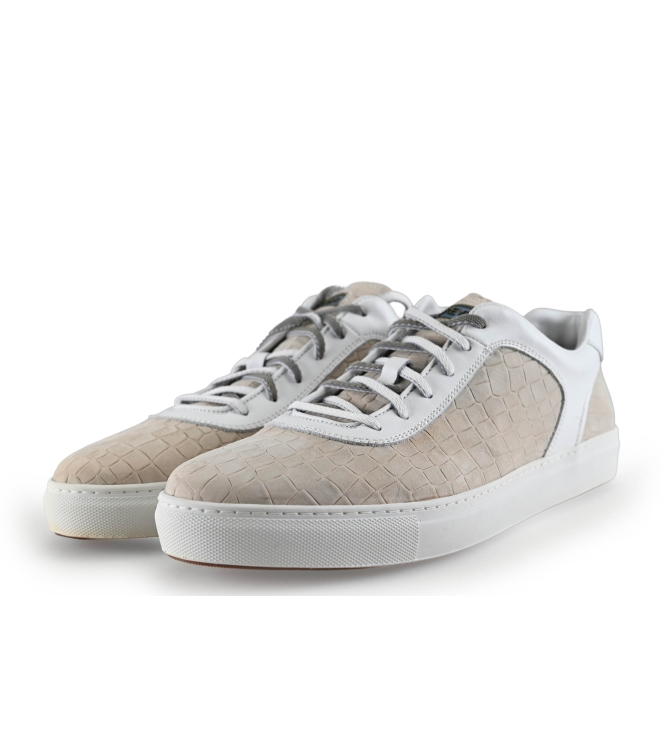 Greve Sneakers