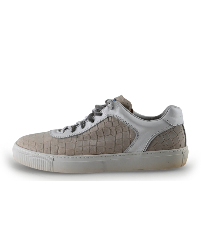 Greve Sneakers