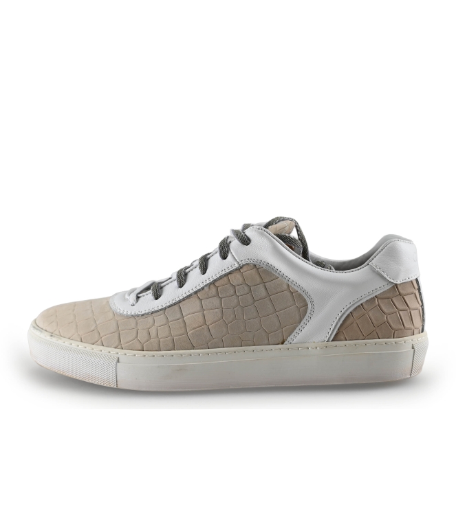 Greve Sneakers