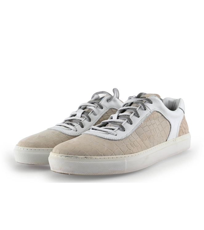 Greve Sneakers
