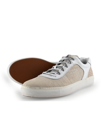 Greve Sneakers