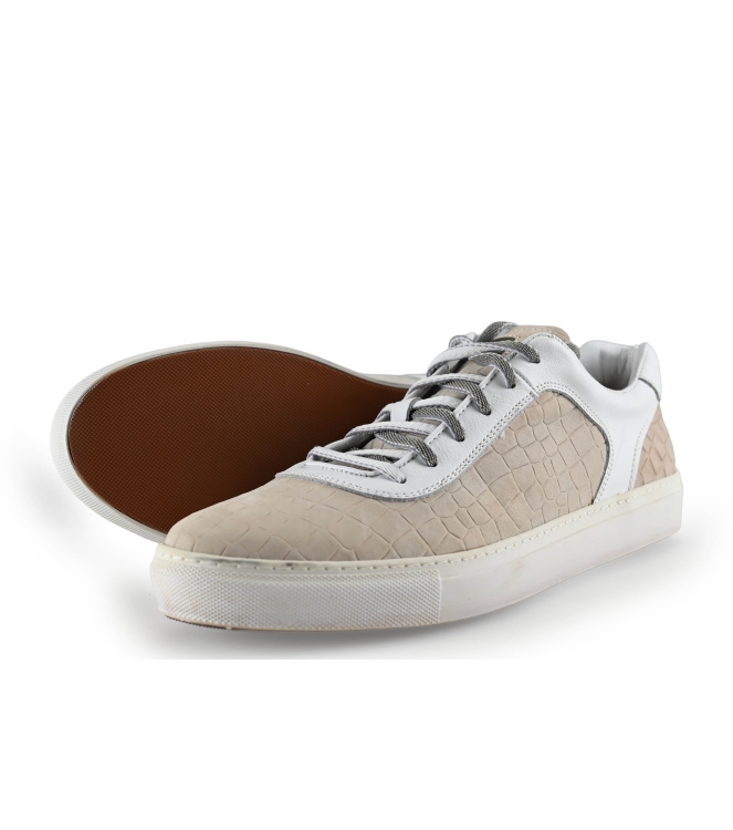 Greve Sneakers