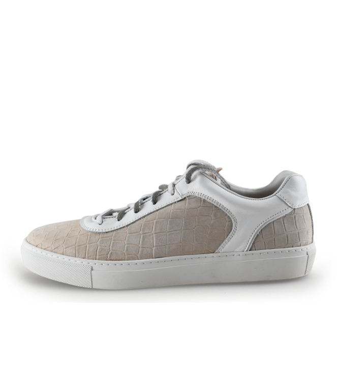 Greve Sneakers