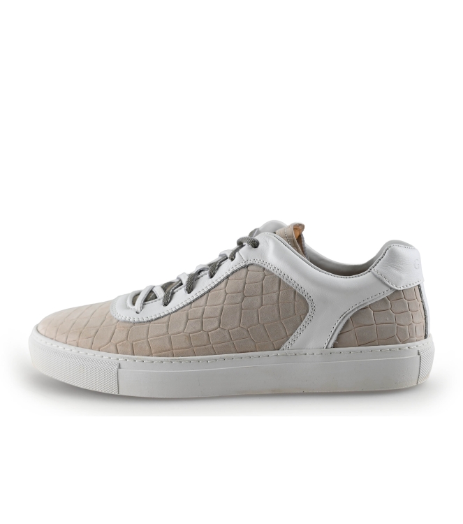 Greve Sneakers
