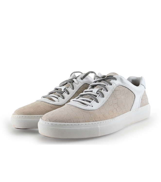 Greve Sneakers