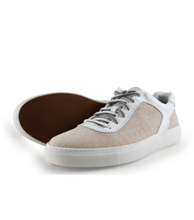 Greve Sneakers