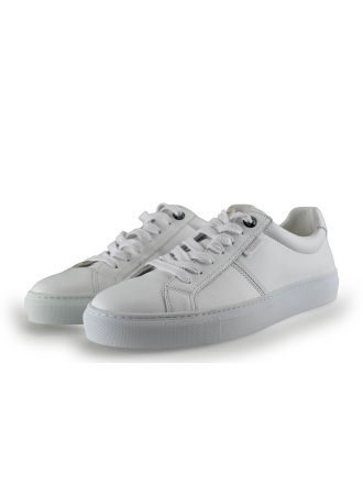 Manfield Sneakers