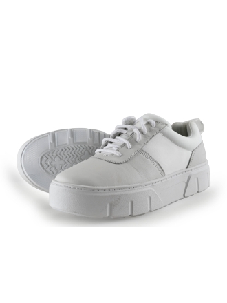 Timberland Sneakers