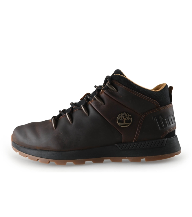 Timberland Sneakers