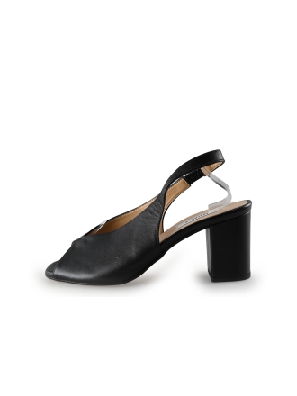 Notre-V Pumps