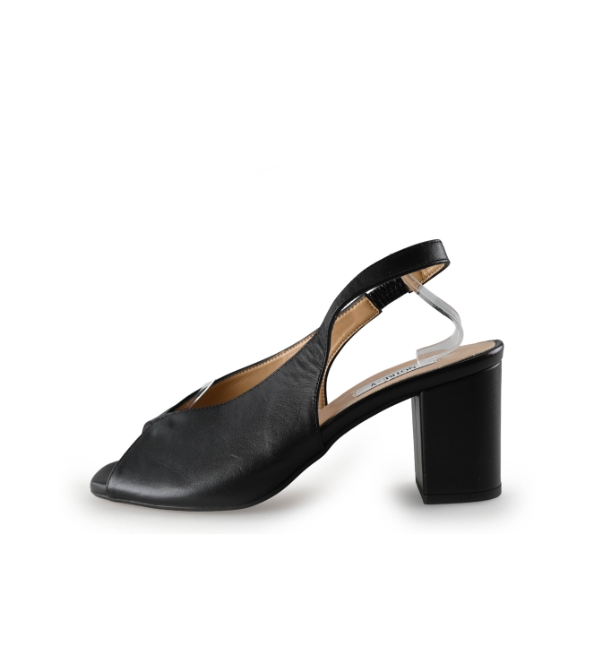 Notre-V Pumps
