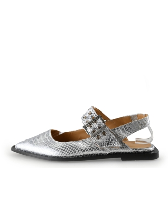 Toral Ballerina's Zilver 294540
