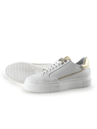 Notion1 Sneakers