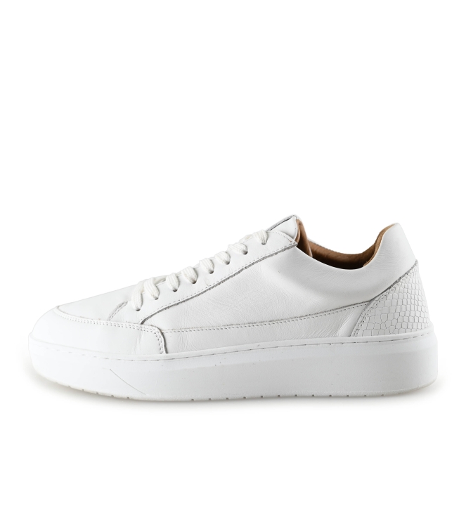 Clay Sneakers
