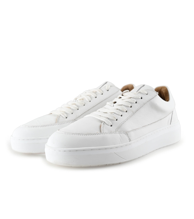 Clay Sneakers