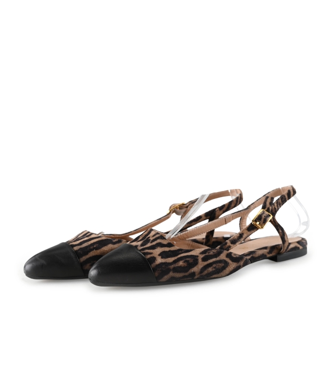 Steve Madden Ballerina's