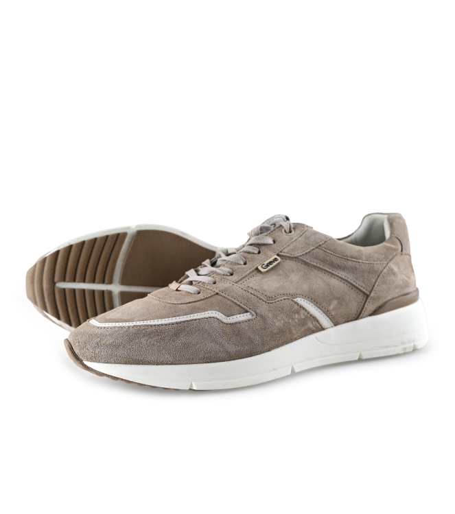 Greve Sneakers