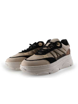 Nelson Sneakers Beige 296264