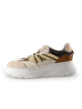 Nelson Sneakers Beige 296385