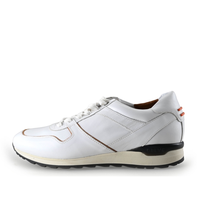 Greve Sneakers