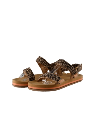 Reef Sandalen Bruin 298542