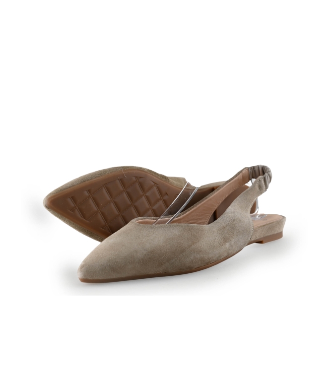 Manfield Ballerina's