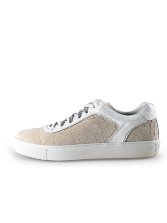 Greve Sneakers Beige 299251