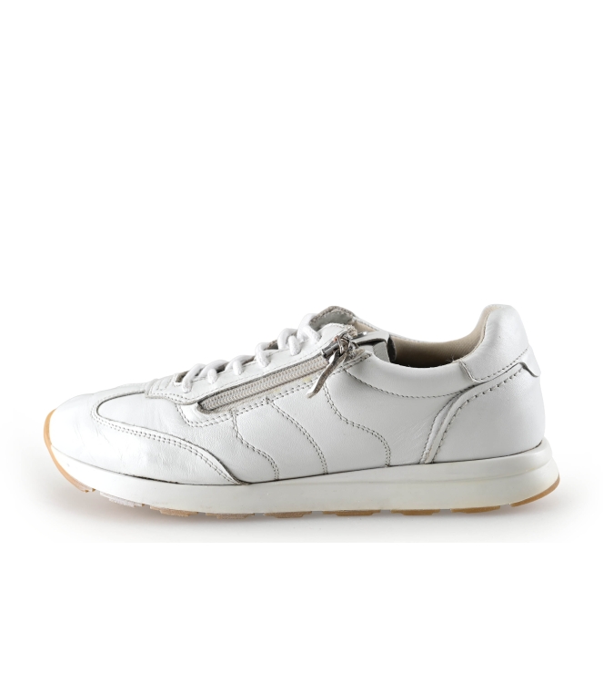 Manfield Sneakers