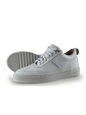 Dutchd Sneakers