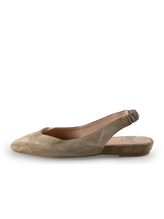 Manfield Ballerina's