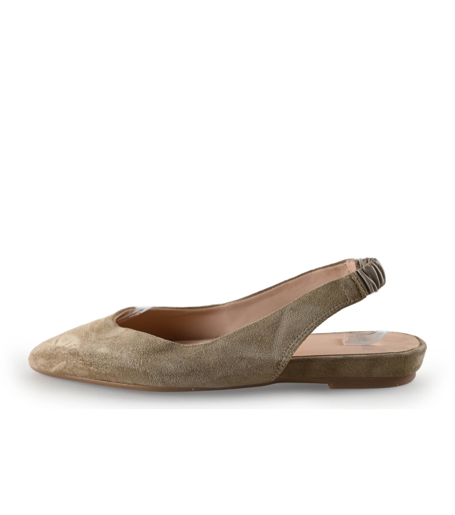 Manfield Ballerina's