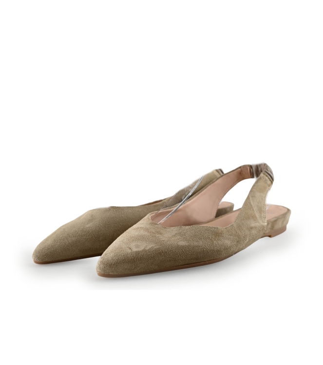 Manfield Ballerina's